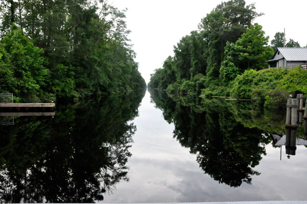 the black waters at Dismal Swamp State Park